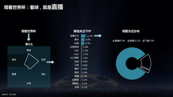 互联网数据中心与199it 数字时代的基石与服务先锋